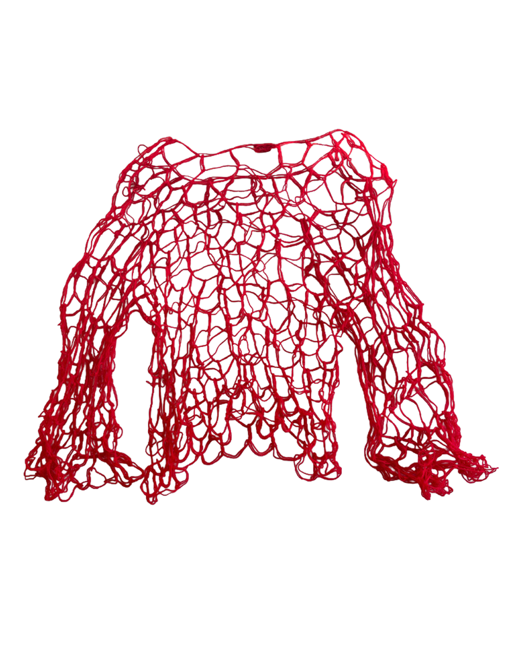 Raspberry mesh